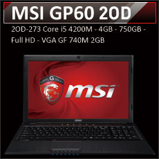 MSI GP60 2OD